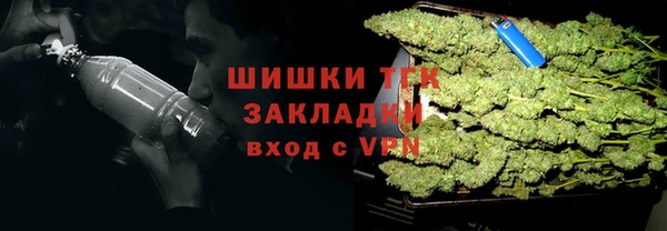 МДПВ Осинники