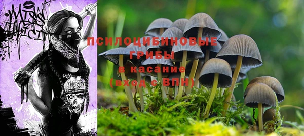 мет Семикаракорск