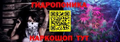 jwh Аргун