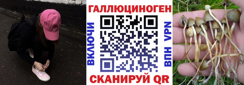 МЕГА ONION  Павлово  Галлюциногенные грибы прущие грибы 