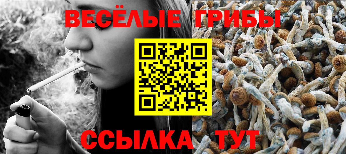 Галлюциногенные грибы Psilocybine cubensis Павлово