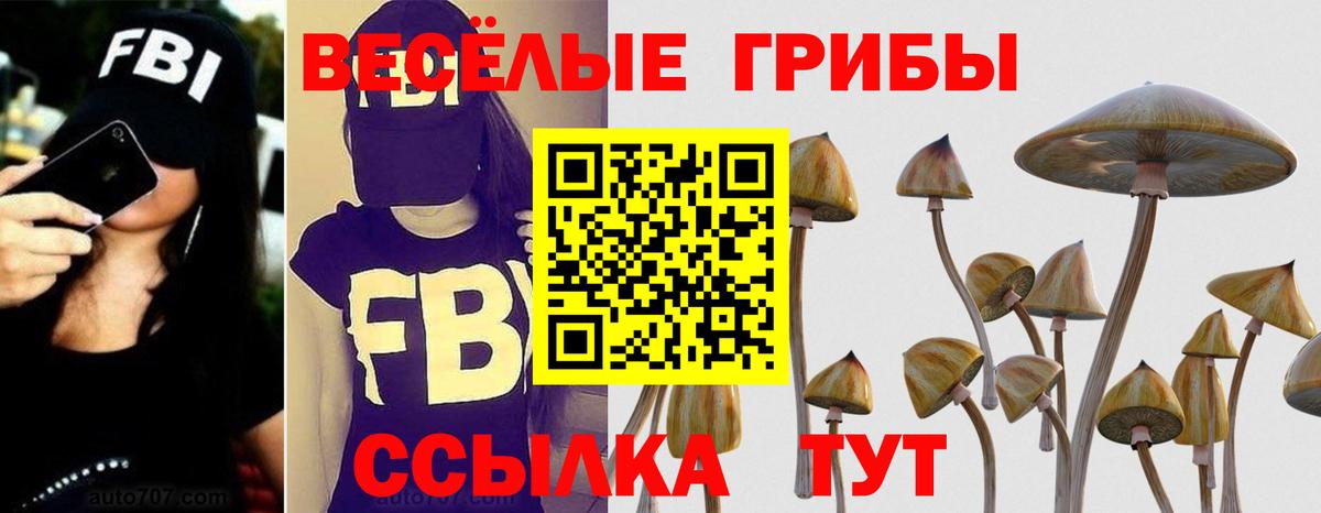 Галлюциногенные грибы Magic Shrooms  Вход с VPN  Павлово 
